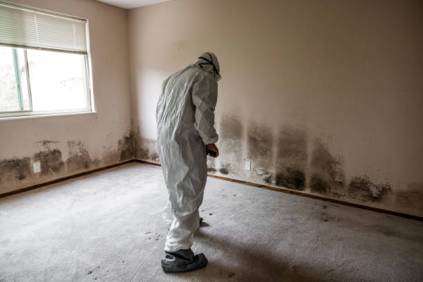 Pompton Plains, NJ Mold Removal Company